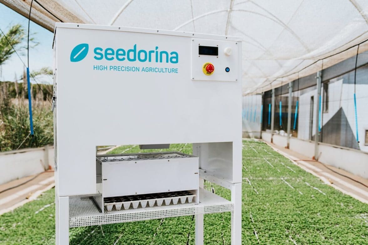 robot seedorina
