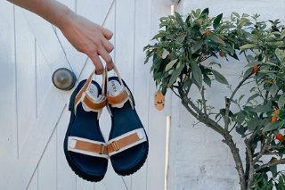 Logotipo Perpetua Shoes